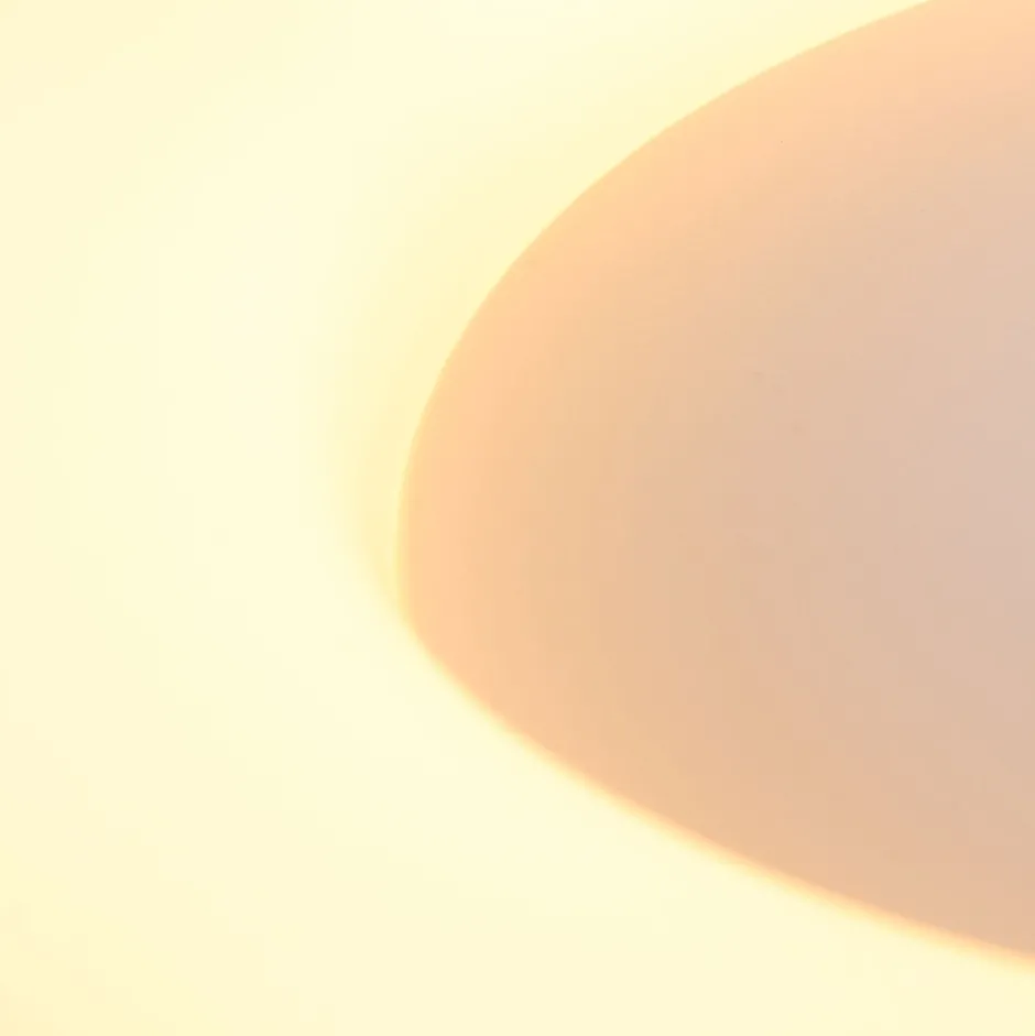 Deckenleuchten|Led Lampen*Steinhauer Runde LED Deckenleuchte Schwarz Weiß Ø38 cm 30 W 2700 K