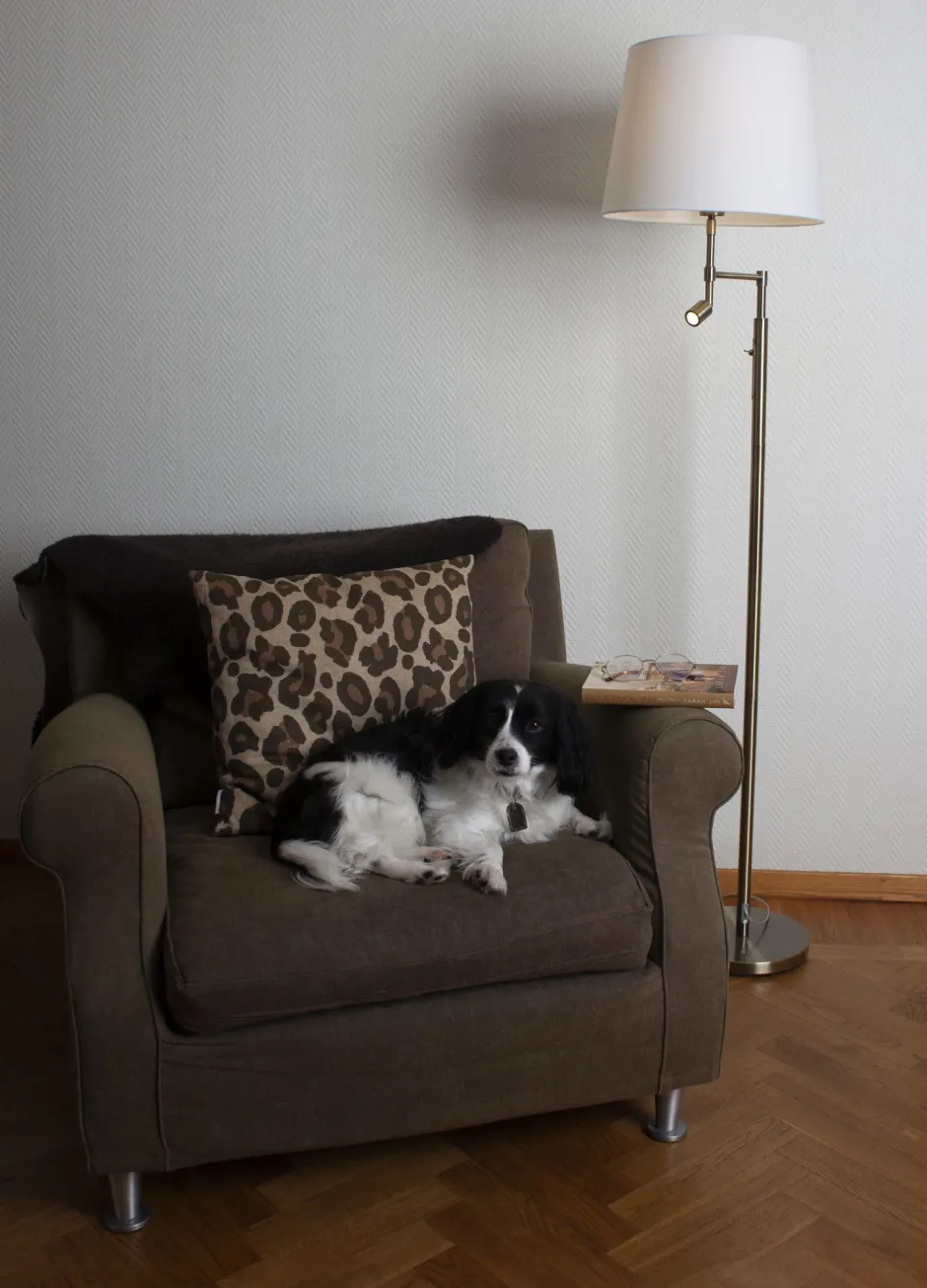 By Rydéns Stehleuchte mit Leselampe 157 cm Messing antik Weiß E27 + LED< Wohnzimmerlampen|Stofflampen