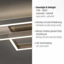 Deckenleuchten|Flurlampen*Paul Neuhaus Stilvolle LED Deckenlampe Silber Fernbedienung dimmbar