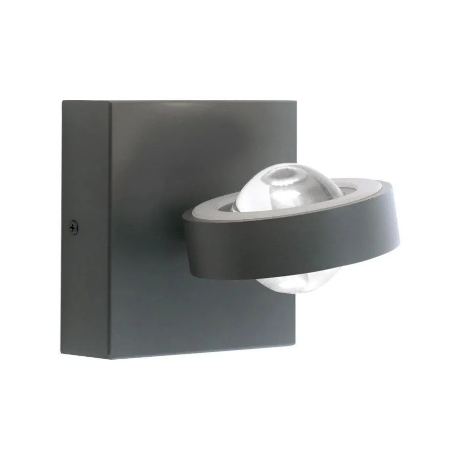 Flurlampen|Wandleuchten*Paul Neuhaus Verstellbare LED Wandspot Anthrazit RGB dimmbar T:16 cm