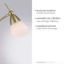 Paul Neuhaus Verstellbare Stehleuchte in Messing Dimmer Glas 163 cm< Wohnzimmerlampen|Metall Lampen