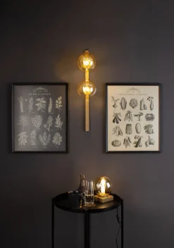 Eco-Light Wandlampe Gold Bernstein Glaskugel E14 H:60 cm 2-flmg< Wohnzimmerlampen|Glaslampen