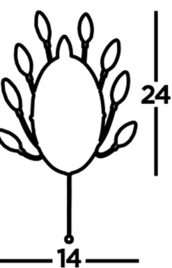 Searchlight Wandleuchte mit Schalter Kristall H: 24 cm Chrom Klar 2x G9< Wohnzimmerlampen|Schlafzimmer Lampen